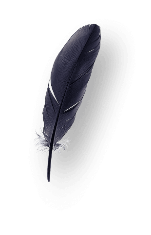 feather